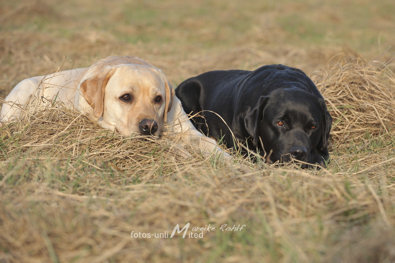 Gaia und Piper